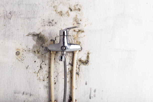 Best Mold Cleaning Services  in Nanawale Estates, HI