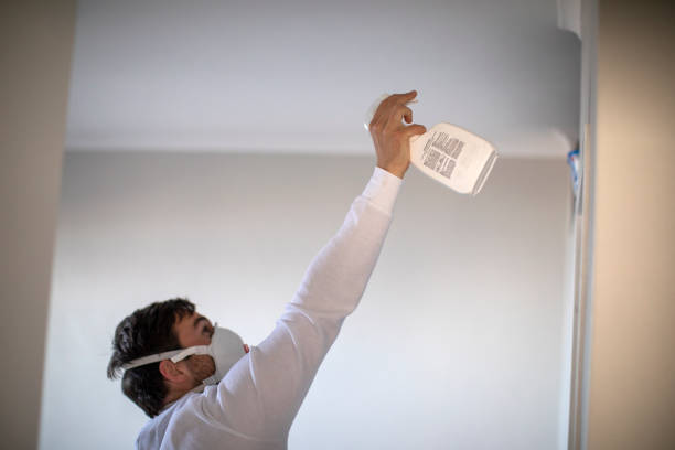 Best Emergency Mold Removal  in Nanawale Estates, HI